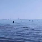 Σπίτι διακοπών 6 Person In *